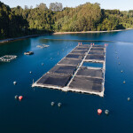 Salmones Camanchaca net pens on the water
