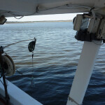 An electronic monitoring system on a fishing vessel