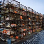 Crab traps in Alaska