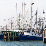 Boats at the dock in Rhode Island