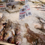Groundfish on ice at a fish market in Portland, Maine, U.S.A.