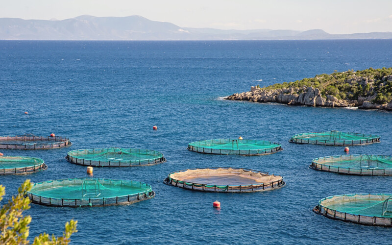 A fish farm in Greece