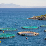 A fish farm in Greece