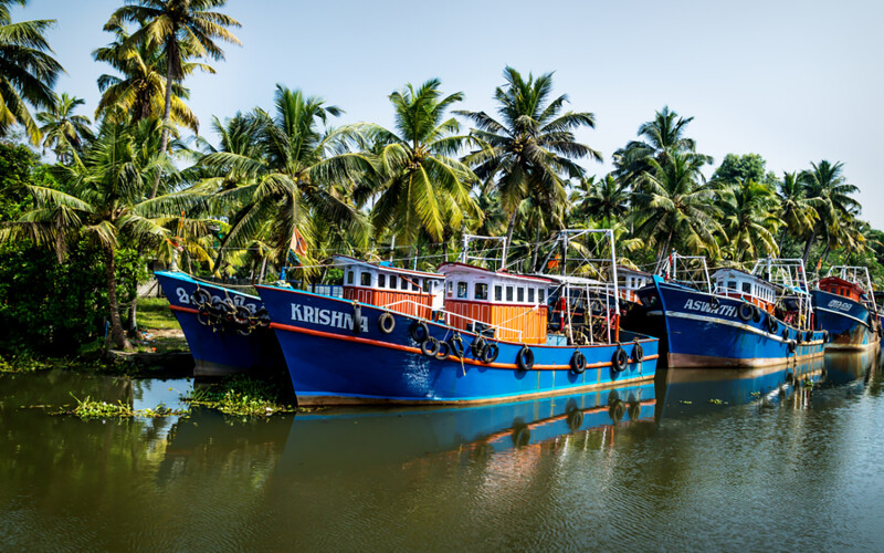 Indian fishing boats