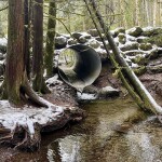 A culvert in Washington
