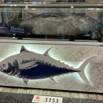The Bluefina booth at SENA 2025 featured a very large bluefin tuna