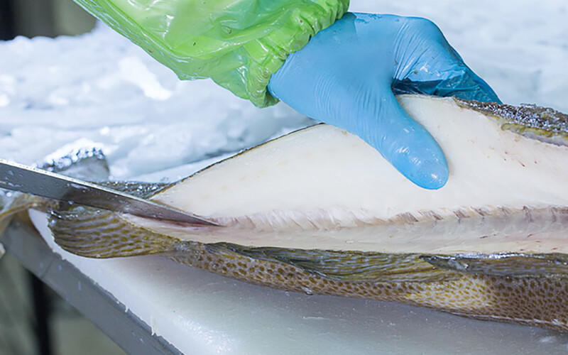 An close-up shot of a seafood processor filleting a fish