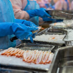 Workers wearing protective gear process shrimp in a Vietnam-based facility