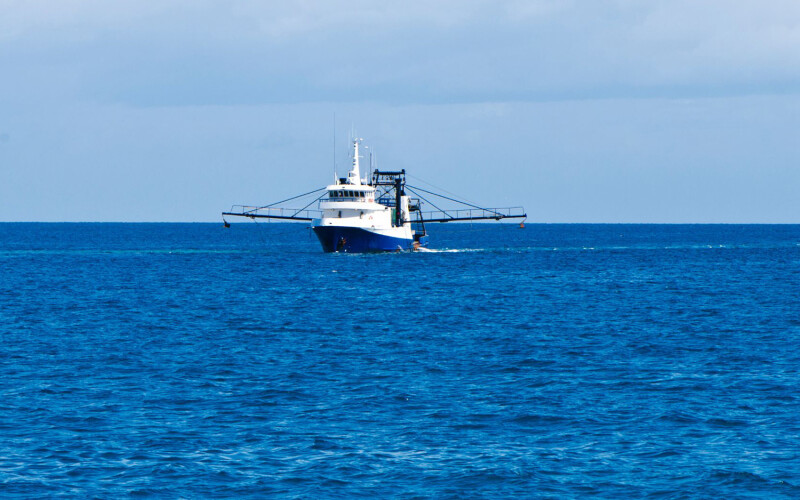 A Raptis and Sons vessel