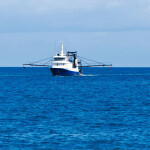 A Raptis and Sons vessel