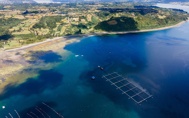 An aerial shot of a Multi X salmon farm