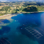 An aerial shot of a Multi X salmon farm