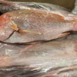 Brazilian red snapper seized at a U.S. port.