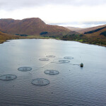 An aerial shot of a Scottish salmon farm