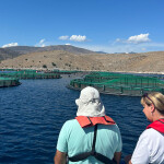 An Aquaculture Stewardship Council-led tour of an aquaculture farm