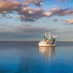 A shrimp vessel in the Gulf of Mexico