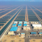 A fish farm in northern Egypt