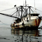 The Protecting Global Fisheries Act would authorize the president to impose sanctions on foreign persons or vessels deemed complicit in IUU fishing