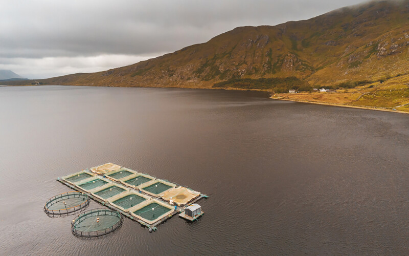 A fish farm off Connemara, Ireland