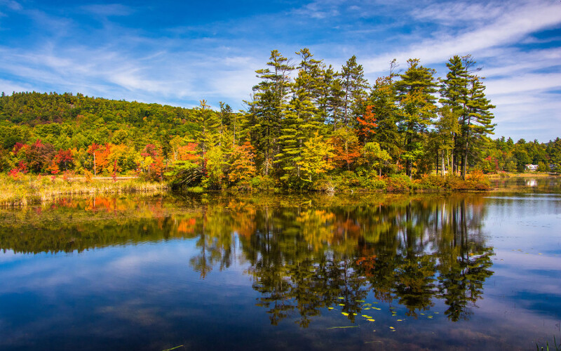 Belfast, Maine is the site of the disbuted parcel, once slated to be the site of the nation's biggest salmon farm
