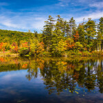 Belfast, Maine is the site of the disbuted parcel, once slated to be the site of the nation's biggest salmon farm