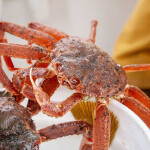 A Russian-caught snow crab