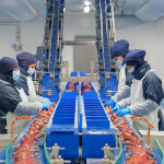 A processing line inside a Profand processing plant