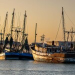 A row of fishing boats at a dock in Texas