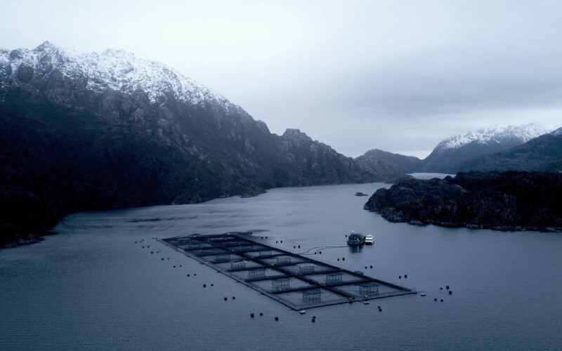 Net pens operated by Australis Seafood