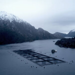 Net pens operated by Australis Seafood