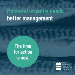 A graphic advocating for the end of overfishing on Northeast Atlantic mackerel