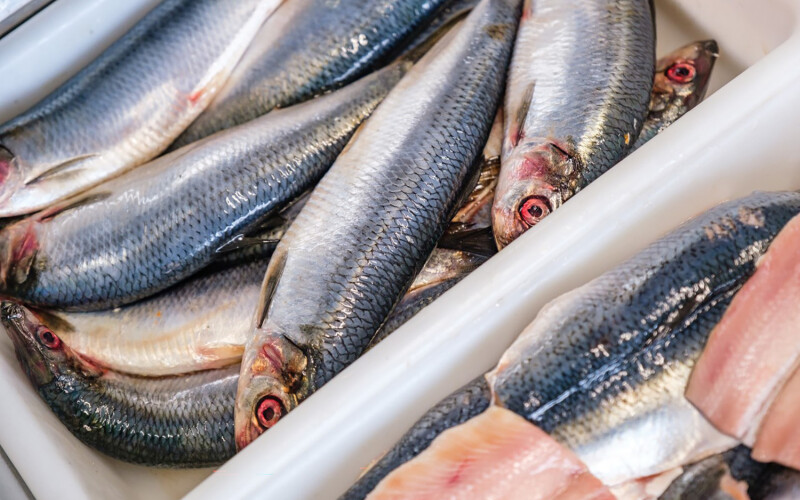 Scottish mackerel has grown tenfold in Japan since the U.K. and Japan signed a free trade agreement in 2020