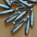 A pile of fish-shaped chocolate