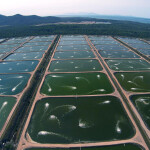 An aerial view of a Seafarms Group farm
