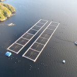 An aerial shot of a Chilean salmon farm