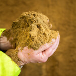 A person holding a handful of fishmeal