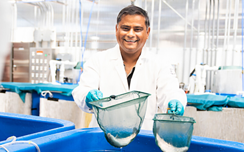 UC Santa Cruz Assistant Professor Pallab Sarker