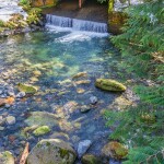 A culvert in Washington