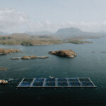 An aerial view of a Loch Duart salmon farm