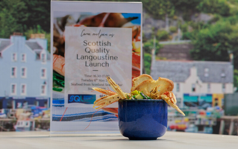 A langoustine dish