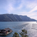 Salmon farming on a Norwegian fjord
