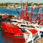 New Bedford, Massachusetts, U.S.A., where the two undocumented men worked, is one of the busiest ports and processing sectors in the country