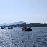 A group of boats in Alaska