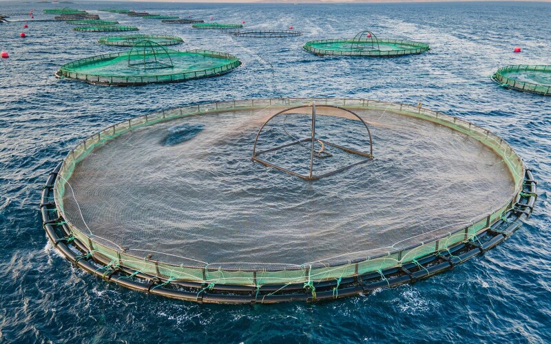 Aquaculture nets