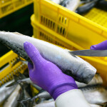 Tuna processing globally is rife with human rights abuses, a challenge that a recent study attempted to address