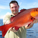 Red snapper
