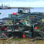 Lobster traps
