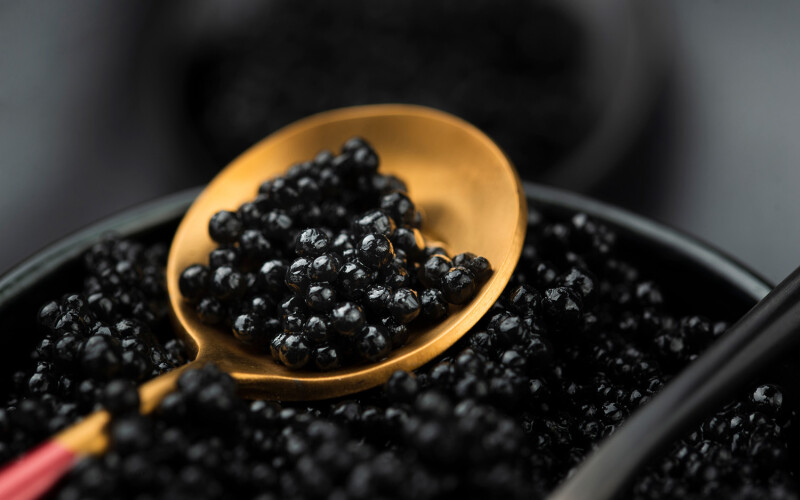 AZTI's DNA test may allow sturgeon farmers to minimize some of their expenditures by raising fewer sturgeon