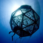 According to the EPA permit, Ocean Era has been approved to raise up to 20,000 red drum over the course of a year in a single net pen located roughly 40 miles off the coast of Sarasota, Florida, U.S.A.