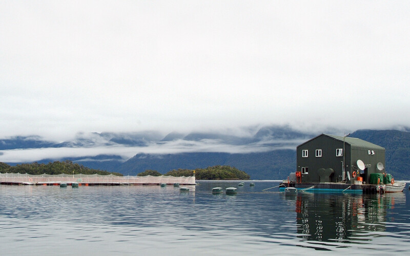 A Verlasso salmon farm
